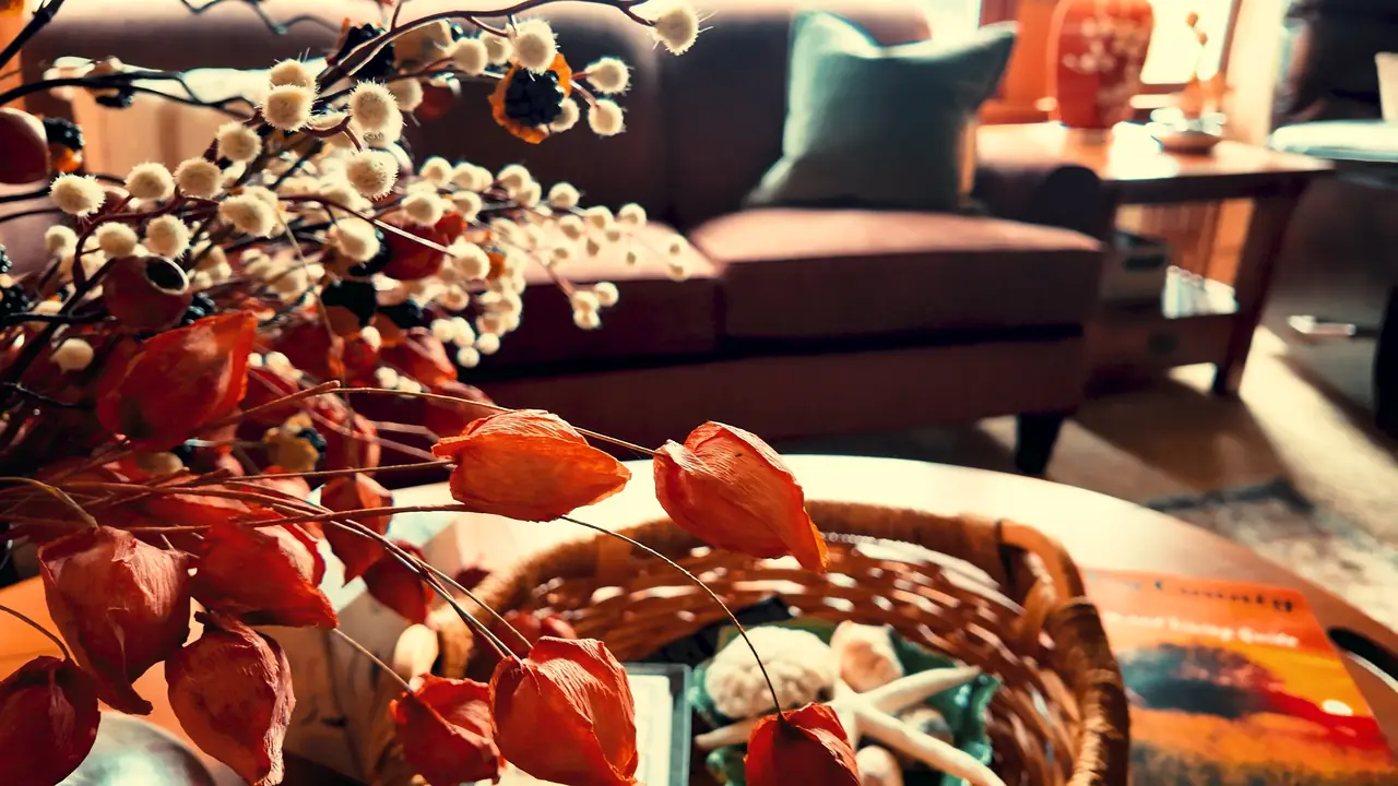 Dried Chinese lantern flowers and cotton branches over a woven basket, a sofa softly out of focus